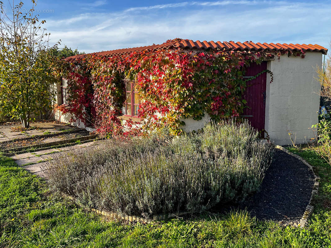 Maison à COURPIERE