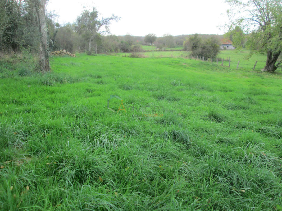 Terrain à VILLERS-LES-LUXEUIL