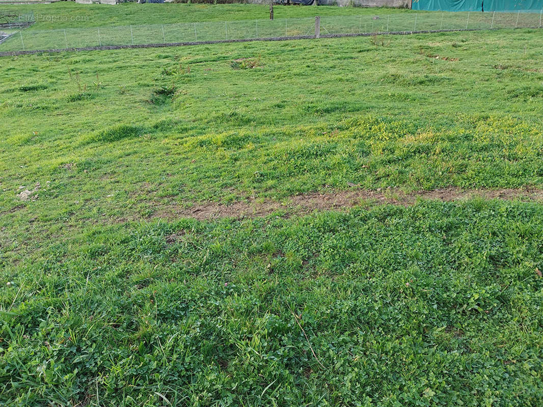 Terrain à CHATILLON-LE-DUC