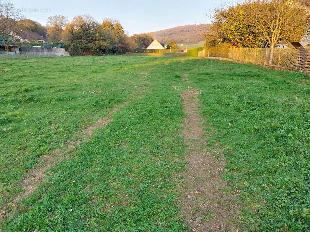 Terrain à CHATILLON-LE-DUC