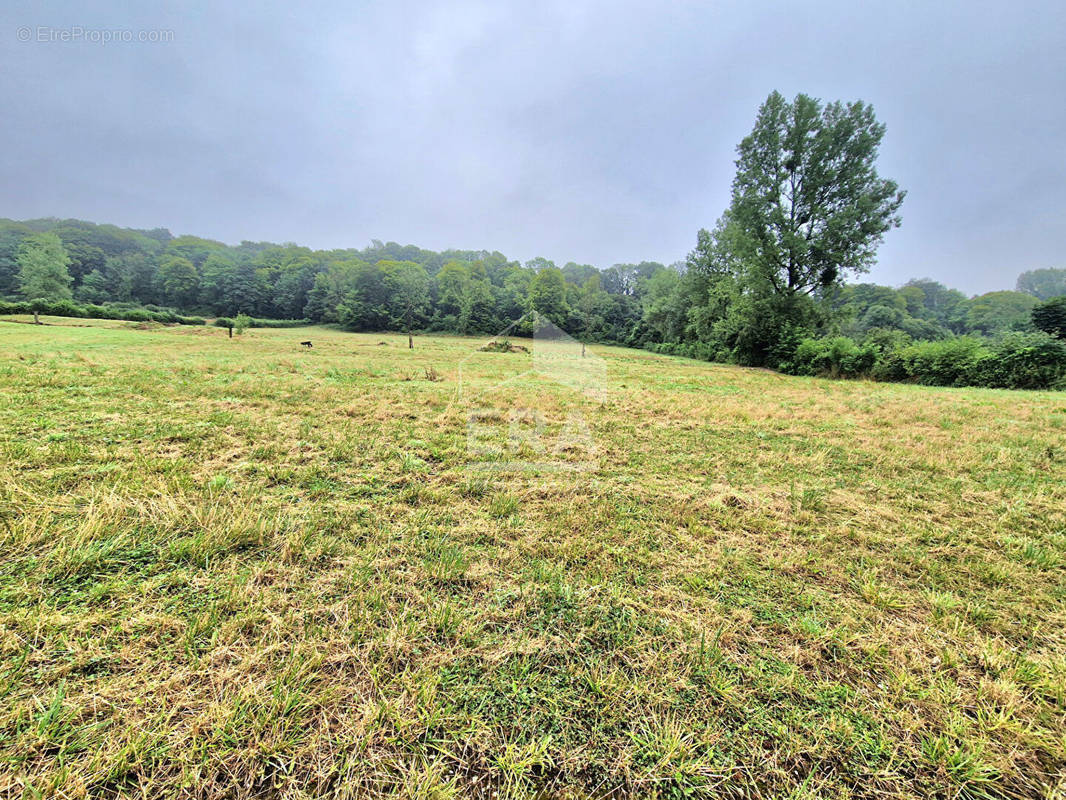 Terrain à MONTREUIL