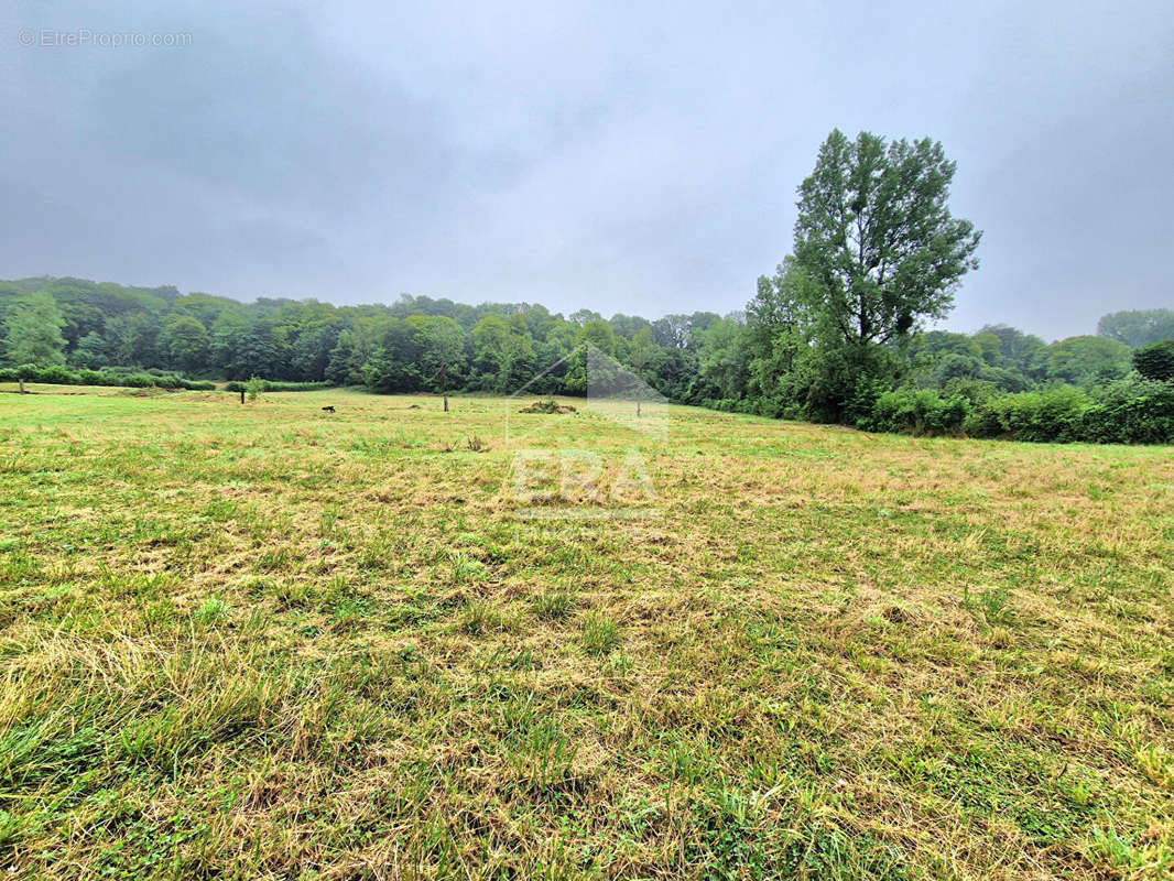 Terrain à MONTREUIL