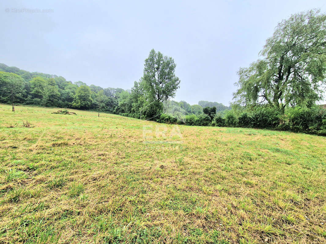 Terrain à MONTREUIL