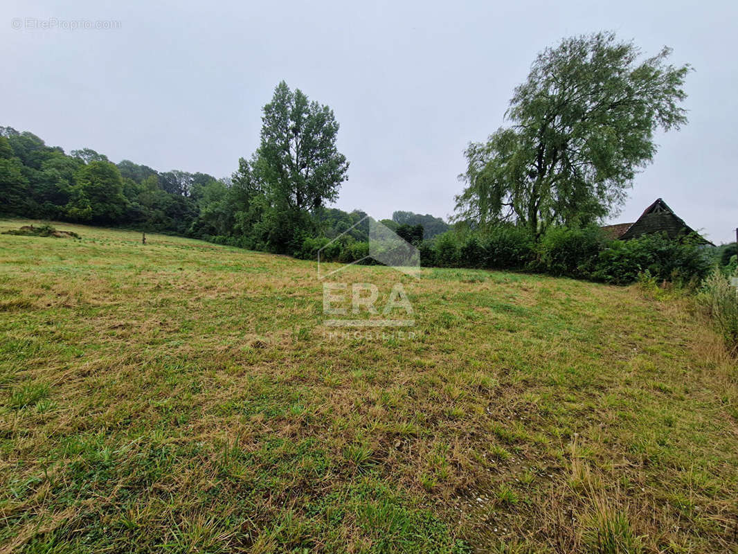 Terrain à MONTREUIL