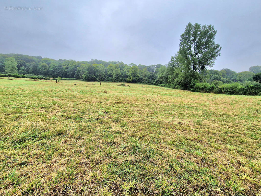 Terrain à CLENLEU