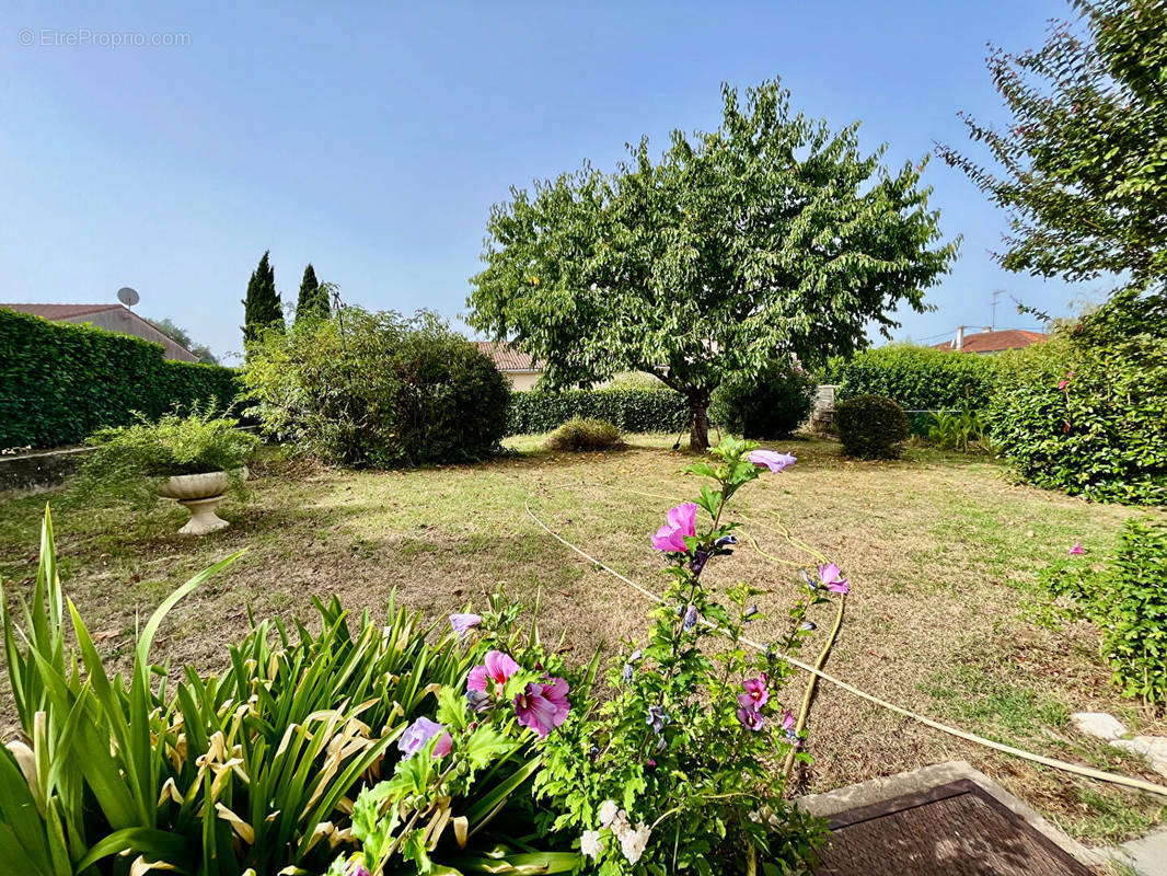 Maison à SAINTE-LIVRADE-SUR-LOT