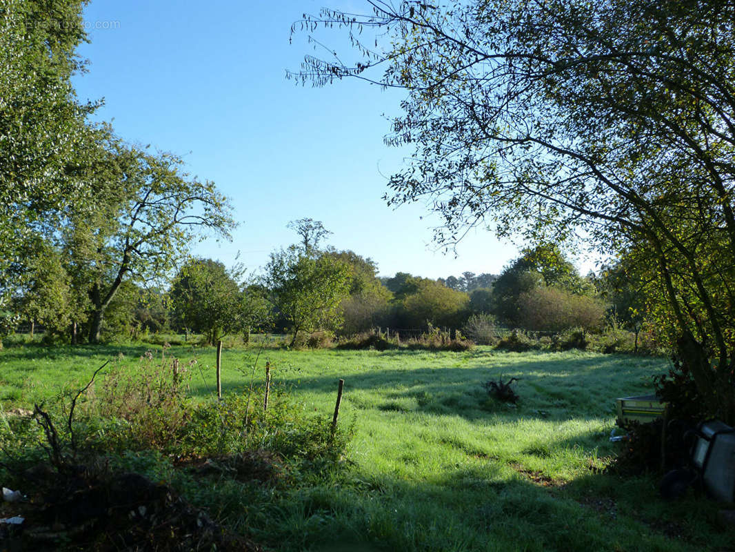 Terrain à COSSE-LE-VIVIEN