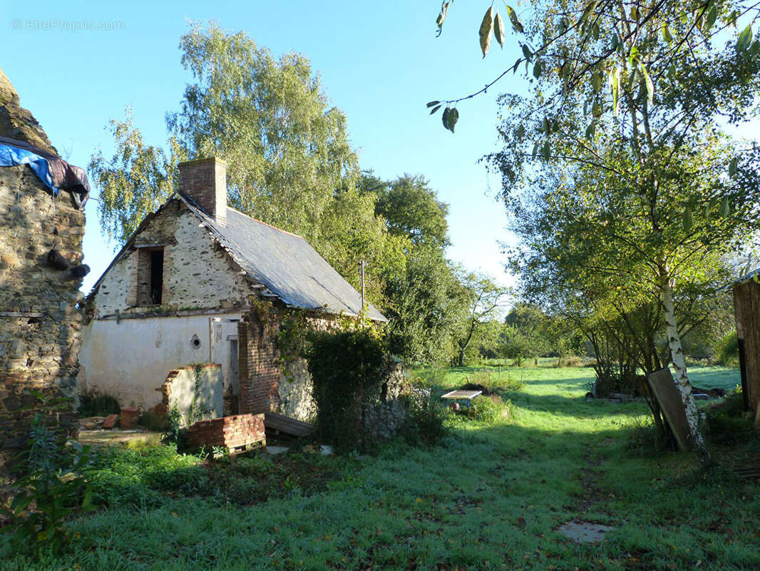 Terrain à COSSE-LE-VIVIEN