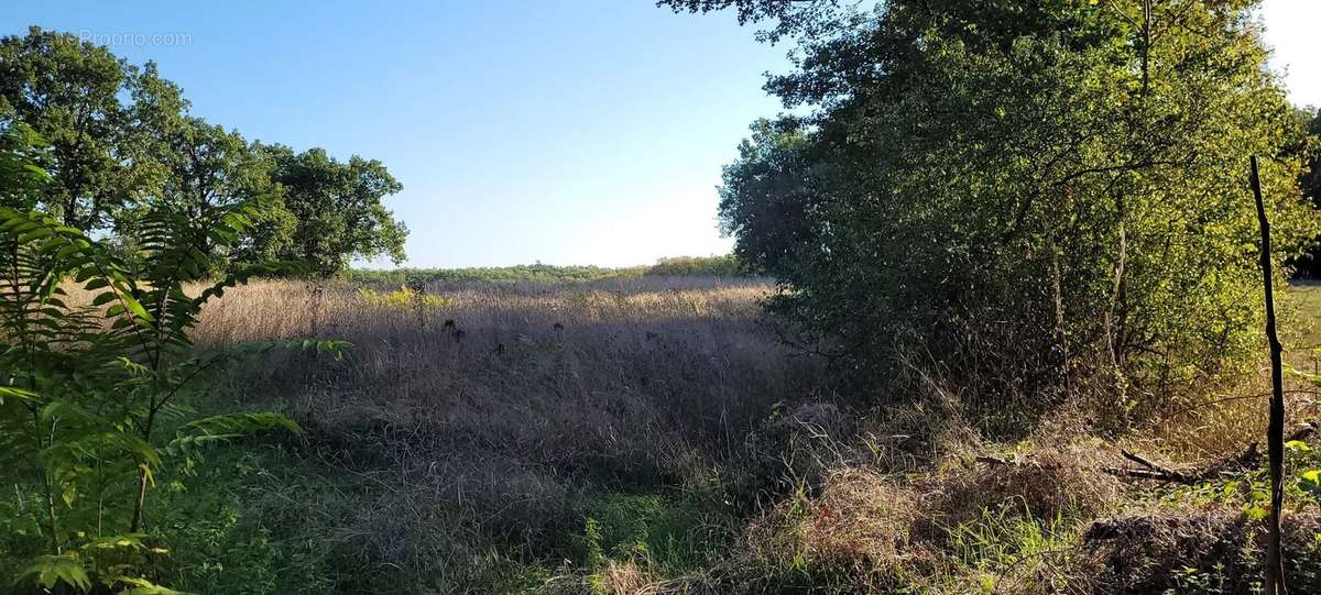 Terrain à MONTAIGU-DE-QUERCY