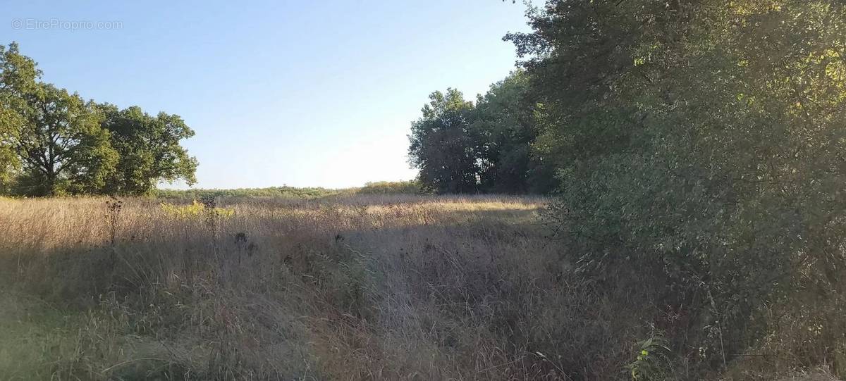 Terrain à MONTAIGU-DE-QUERCY