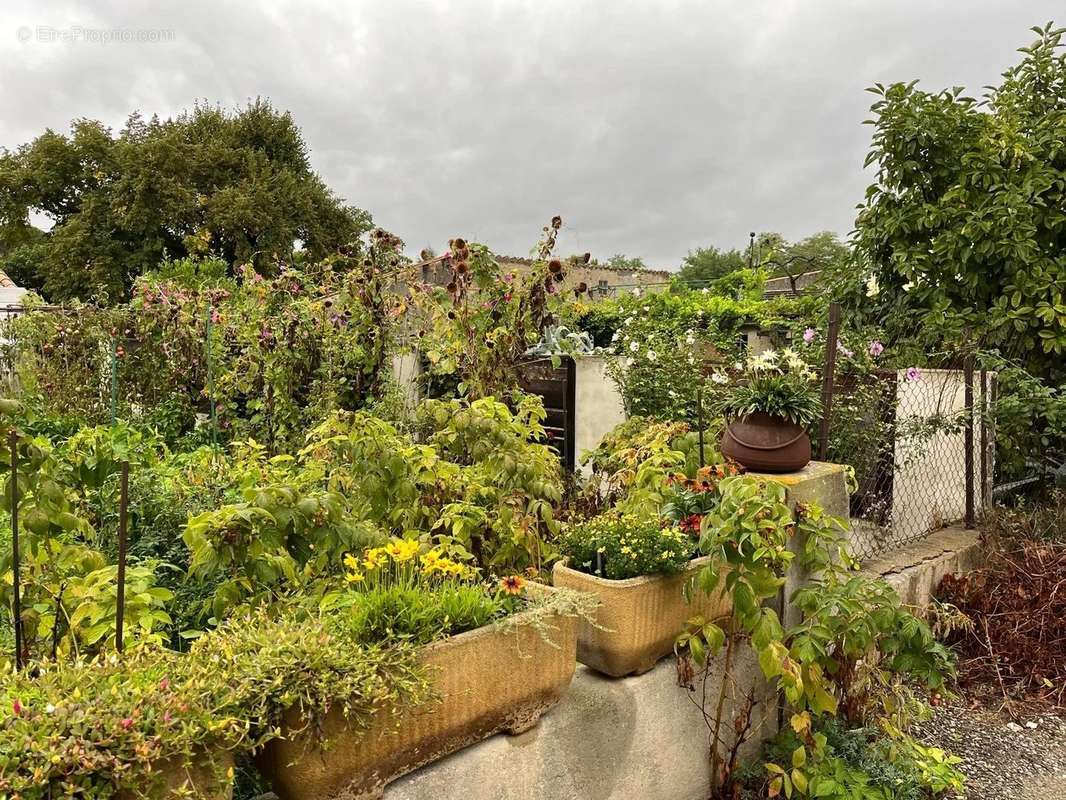 Maison à LIMOUX