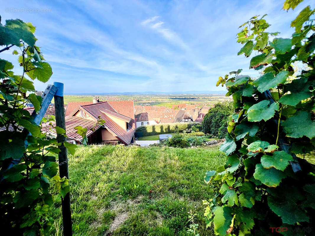 Maison à GUEBERSCHWIHR