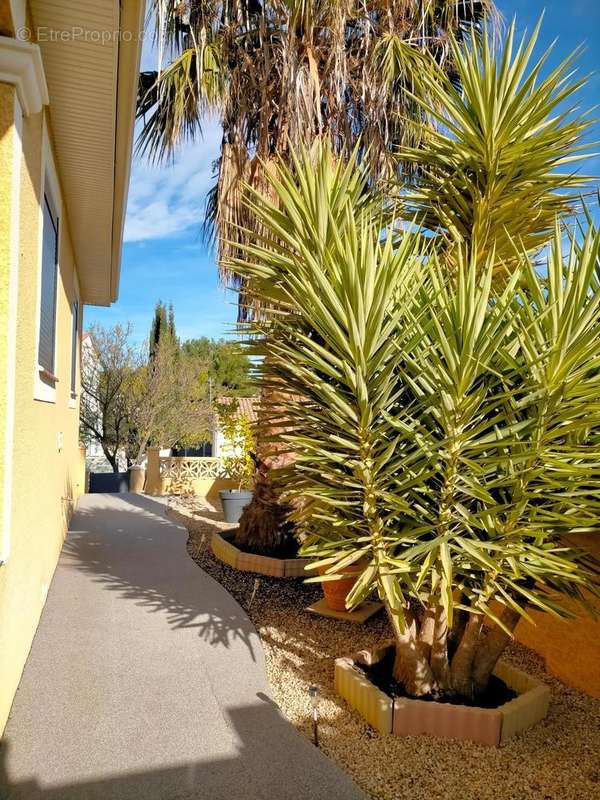 Photo 3 - Maison à LEZIGNAN-CORBIERES