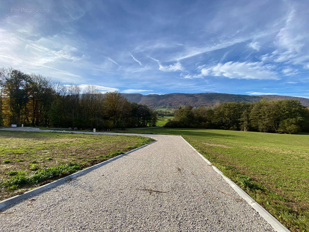 Terrain à ARBUSIGNY