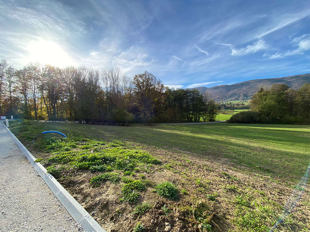 Terrain à ARBUSIGNY