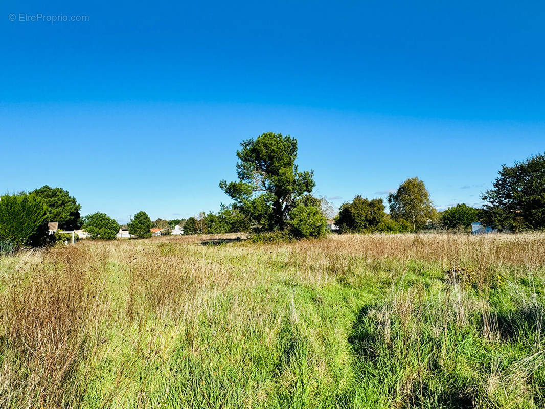 Terrain à SAINT-AUGUSTIN