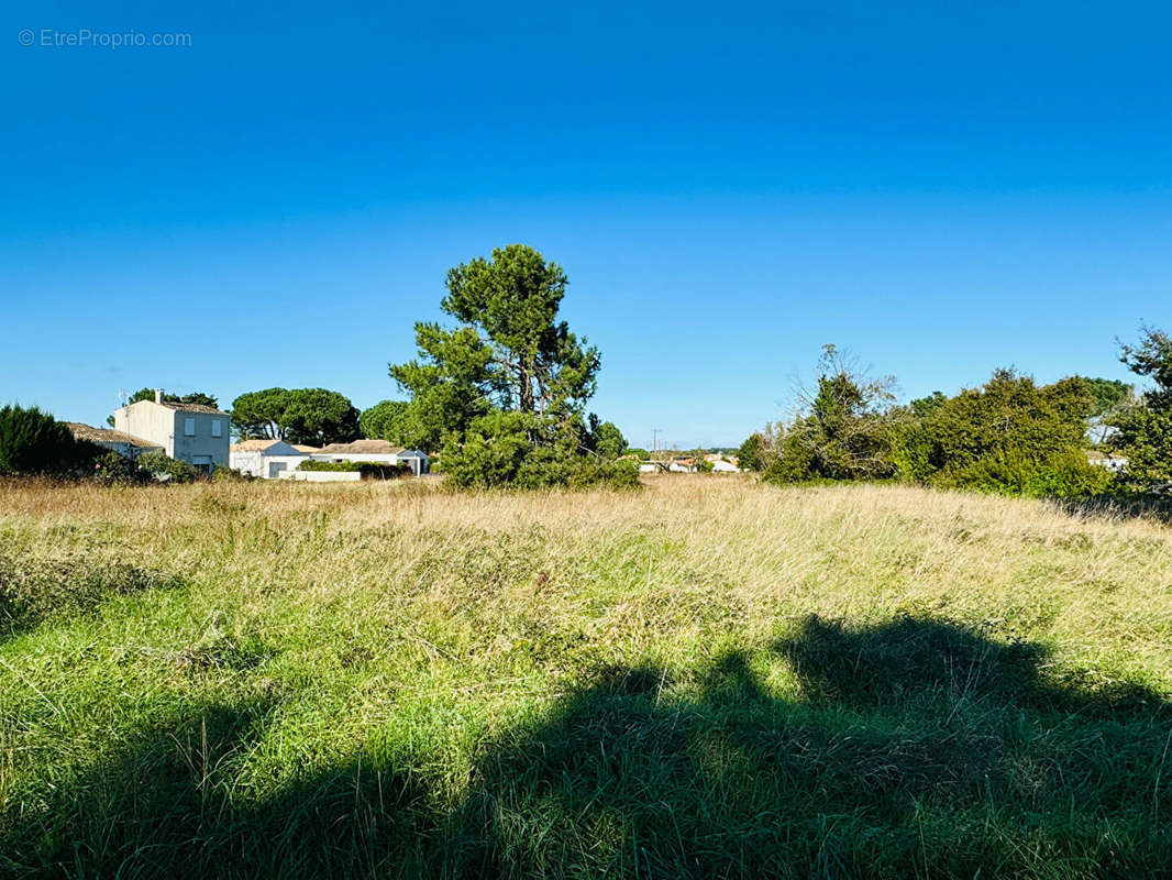 Terrain à SAINT-AUGUSTIN