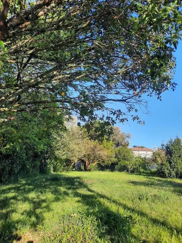 Terrain à SAINT-PALAIS-SUR-MER