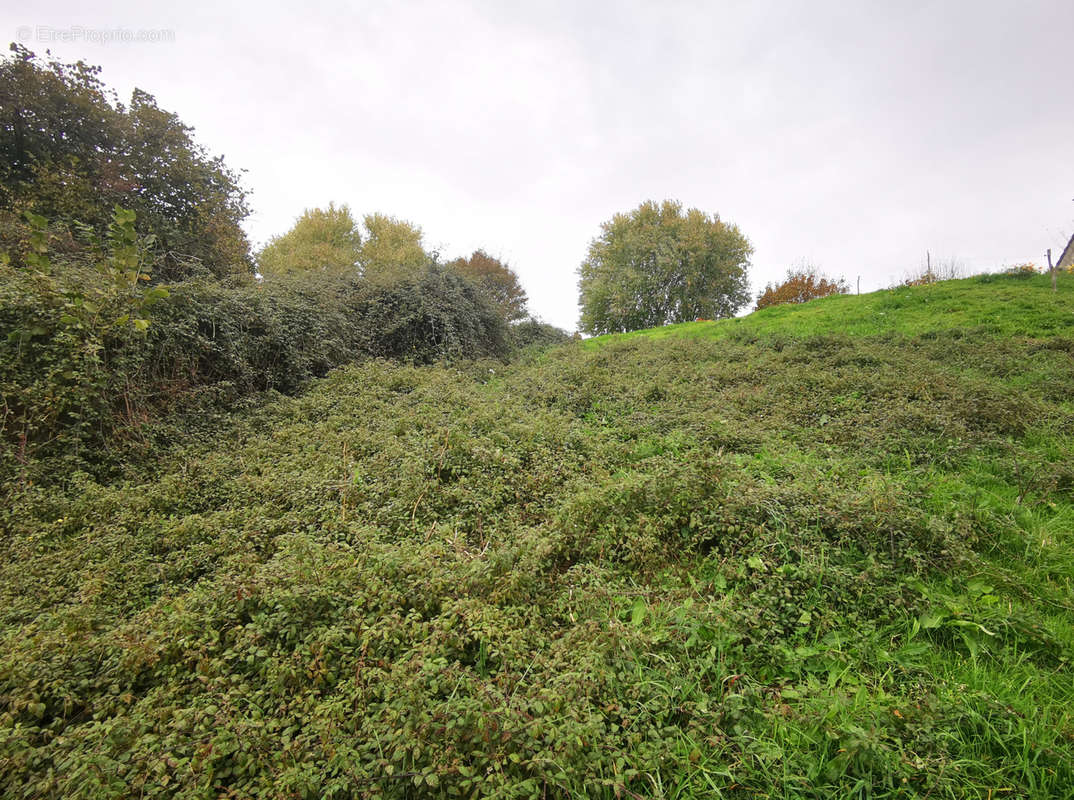 Terrain à DAMPNIAT