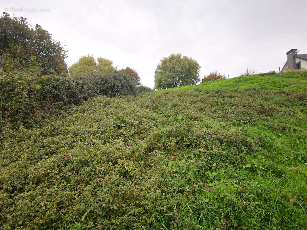 Terrain à DAMPNIAT