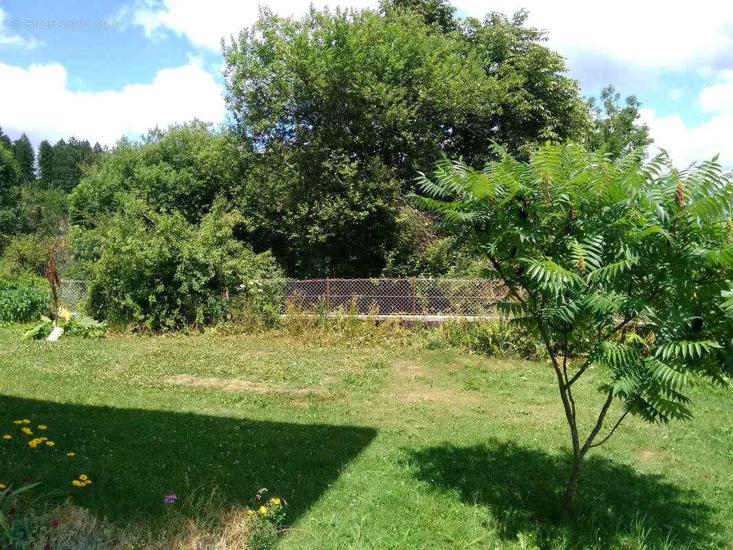 Appartement à ORCHAMPS-VENNES