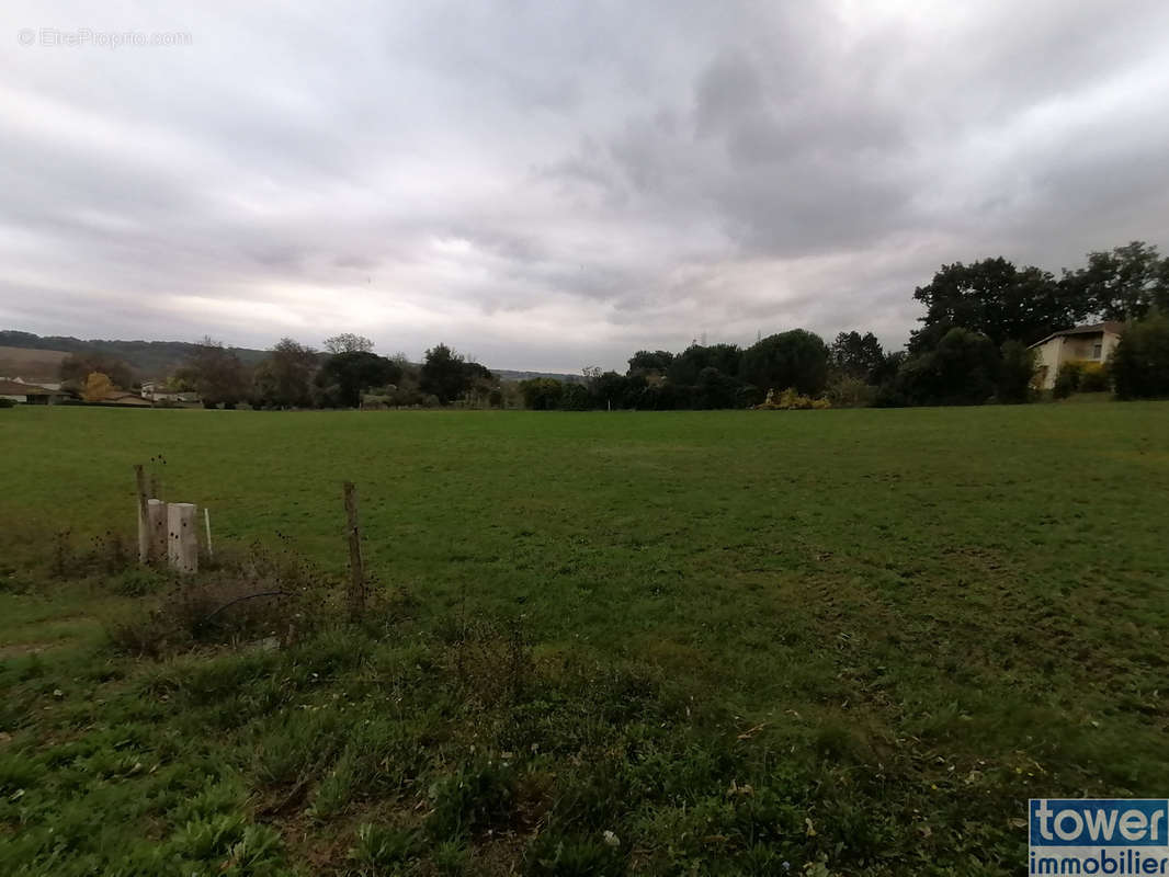 Terrain à BEAUMONT-DE-LOMAGNE