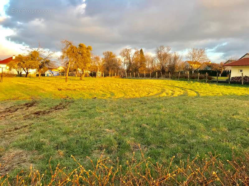 Terrain à CHAMPAGNEY