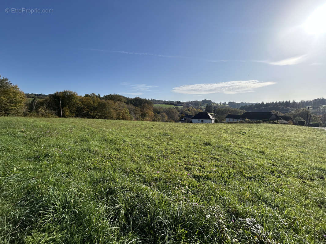 Terrain à NAVES