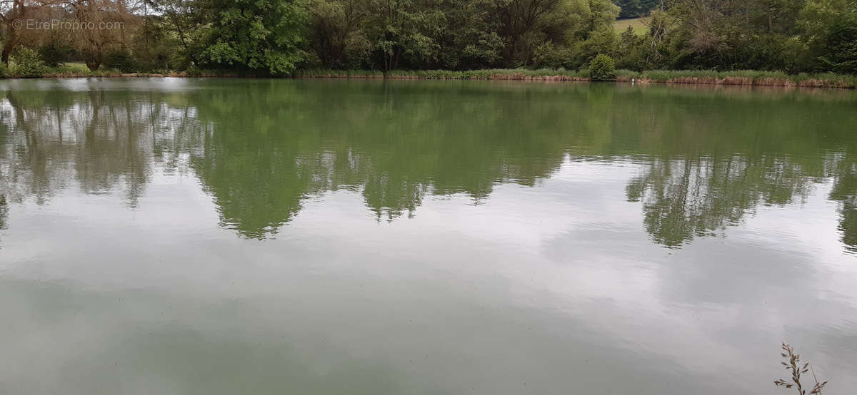 Terrain à VIGNEULLES-LES-HATTONCHATEL