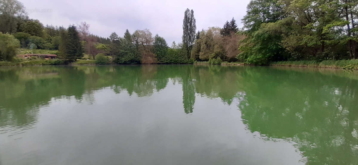 Terrain à VIGNEULLES-LES-HATTONCHATEL