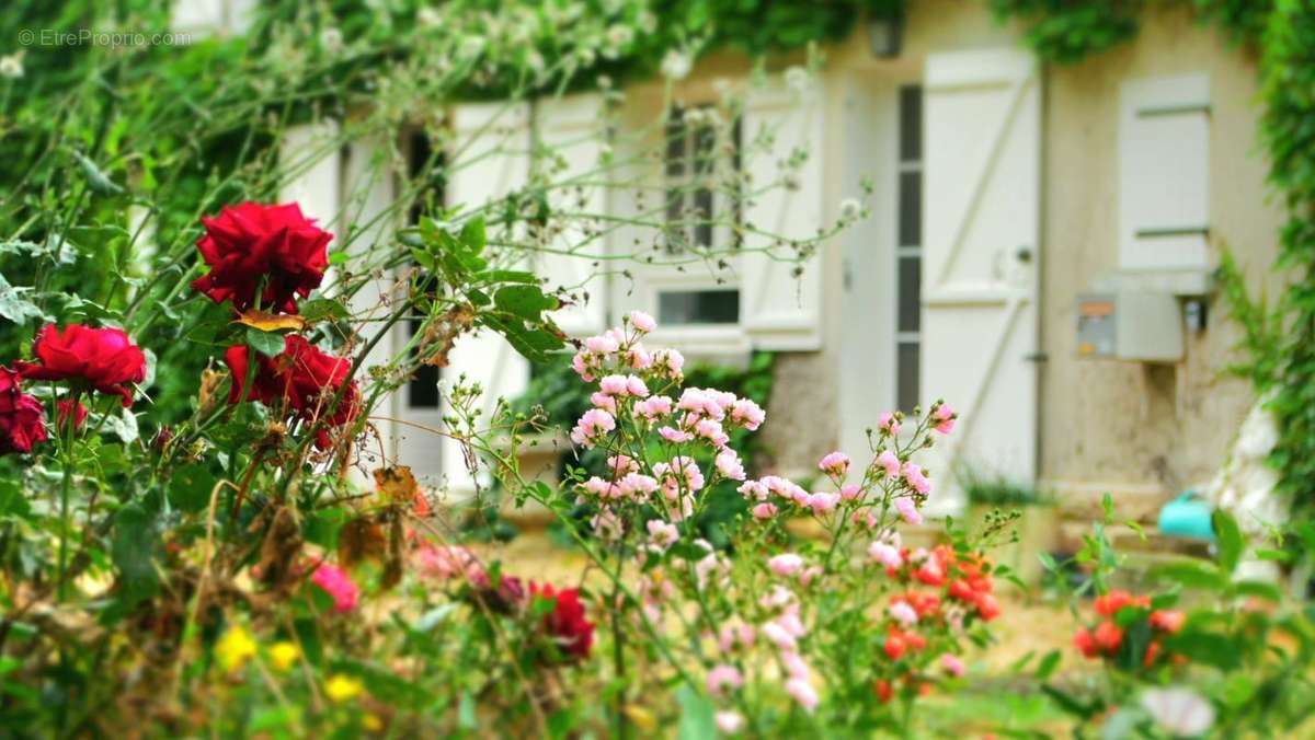 Maison à CHEMILLE