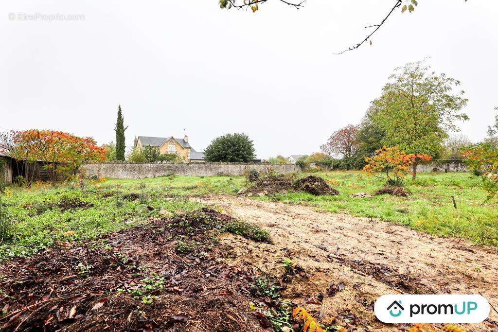 Terrain à CHINON