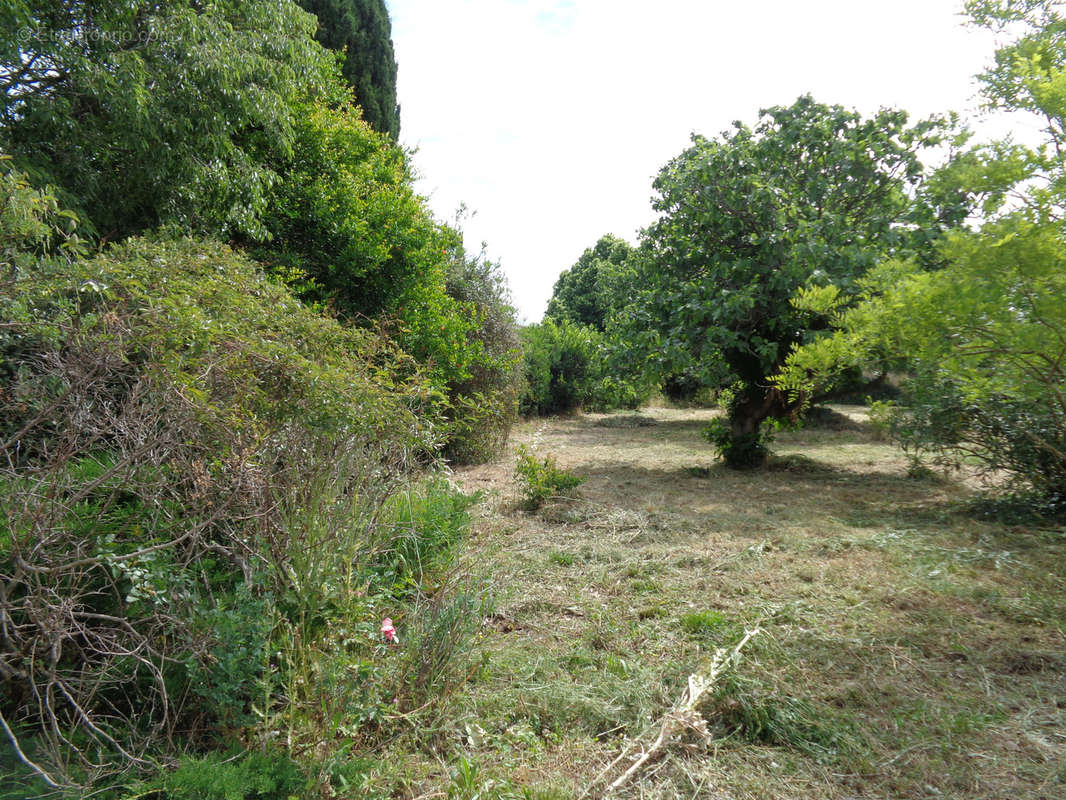 Terrain à MANDUEL