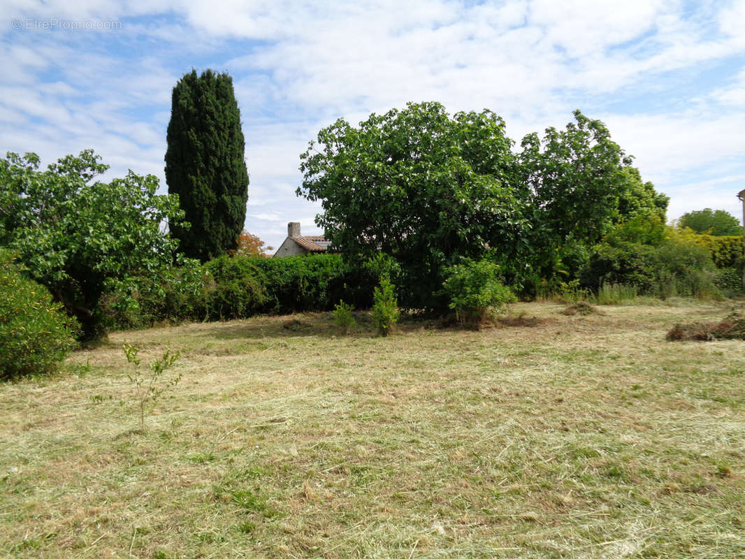 Terrain à MANDUEL