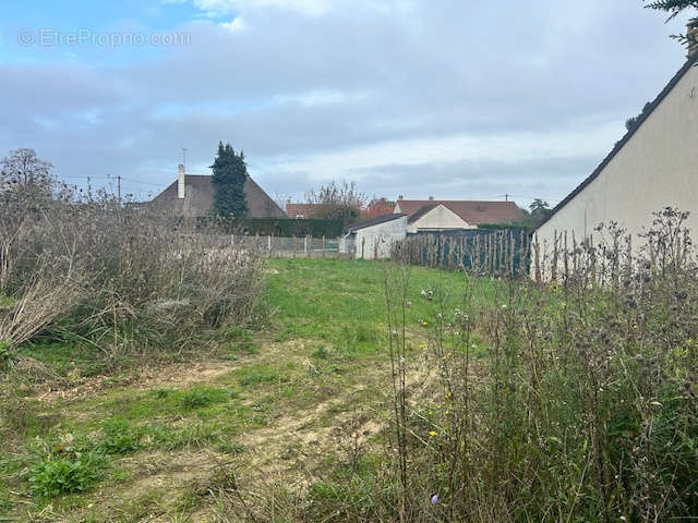 Terrain à ROSNY-SUR-SEINE