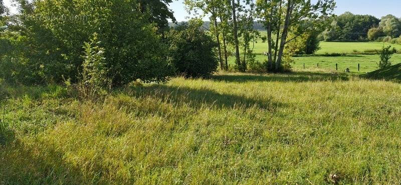 Terrain à VILLONCOURT