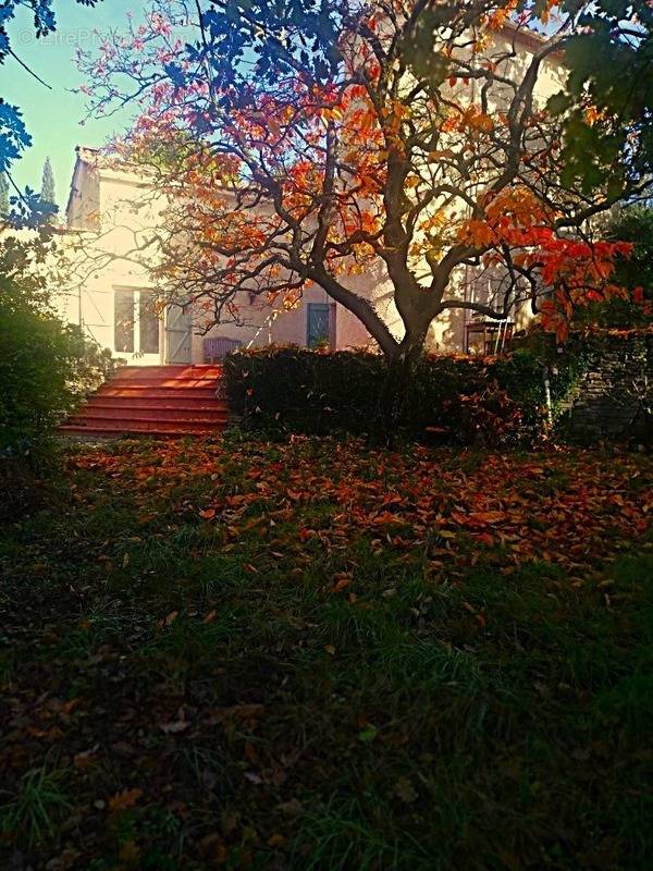 Maison à BEDARIEUX