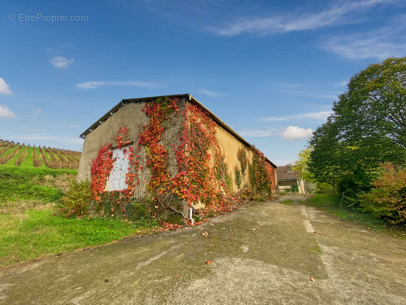 Maison à RISCLE