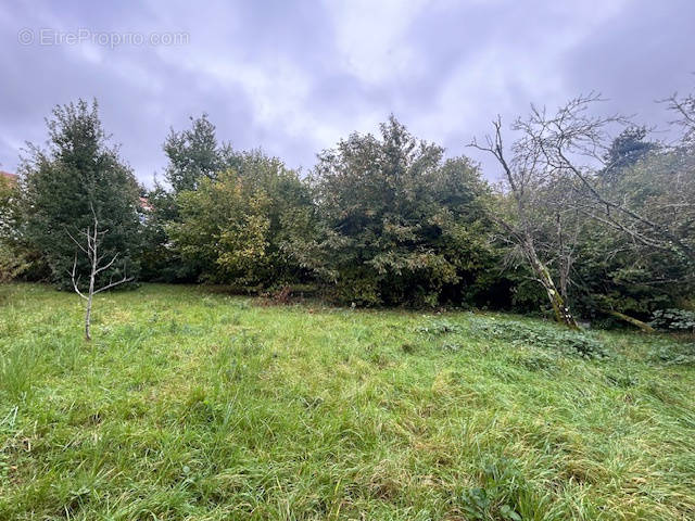 Terrain à MONTLHERY