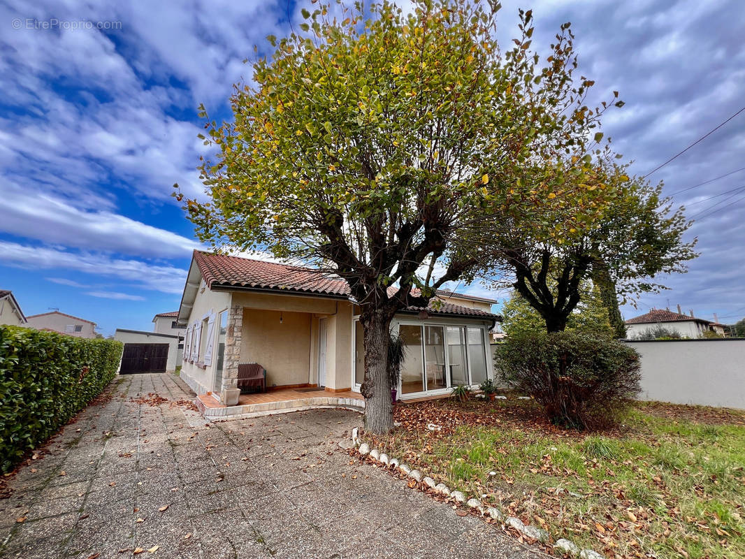 Maison à VILLENEUVE-TOLOSANE