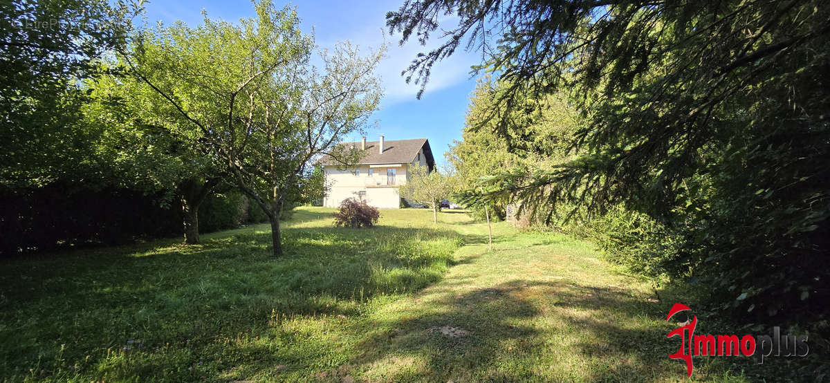 Maison à STEINBRUNN-LE-BAS