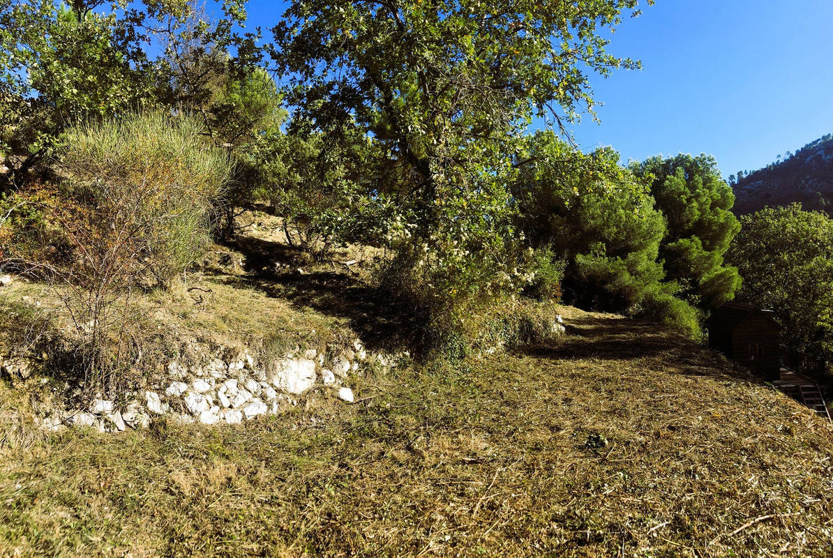 Terrain à ASPREMONT