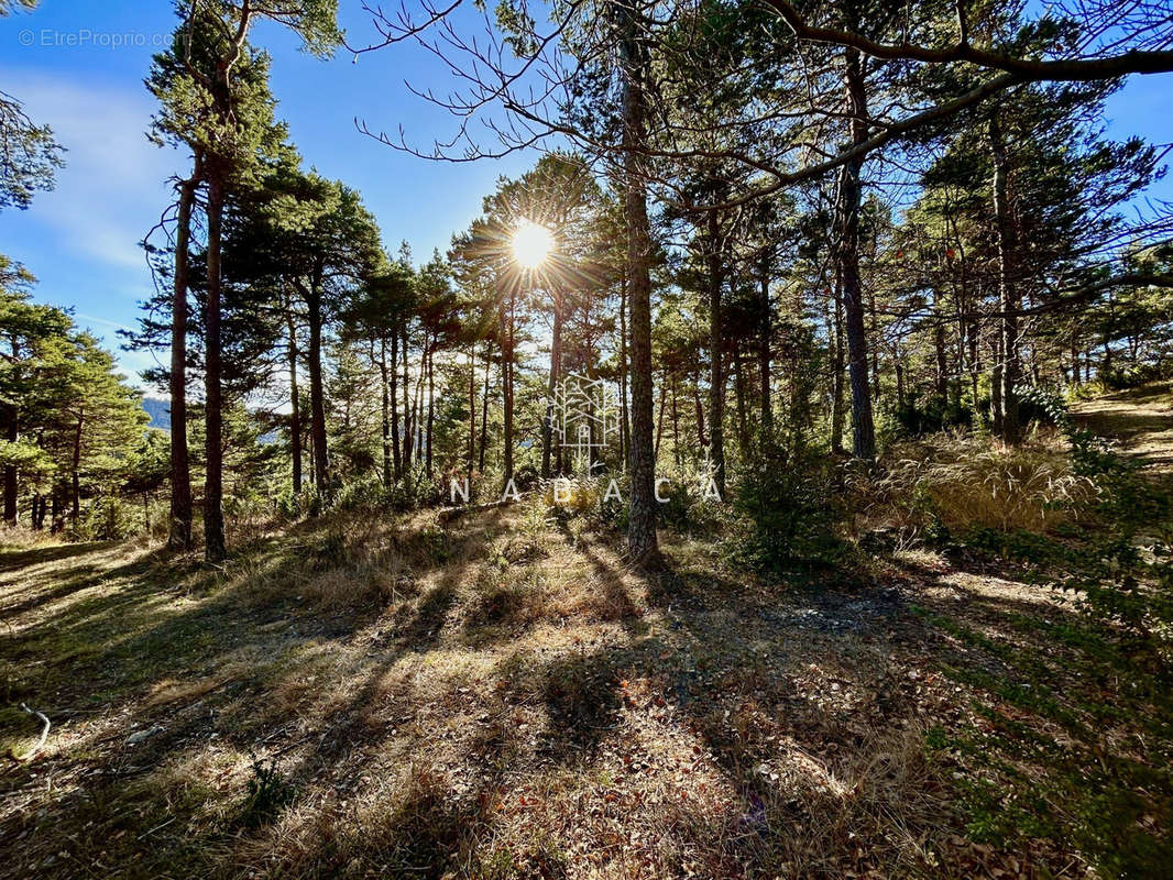 Terrain à ANDON