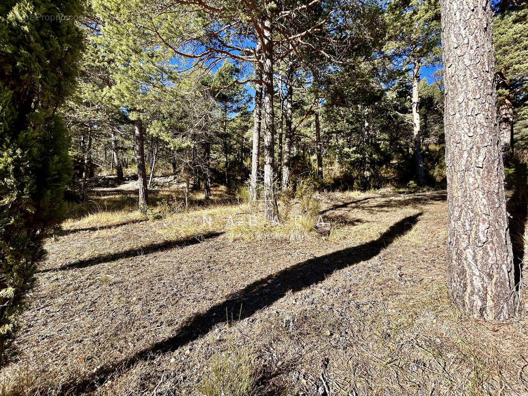 Terrain à ANDON