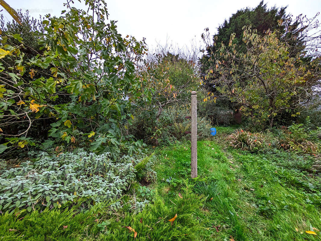 Terrain à LA BOUSSAC