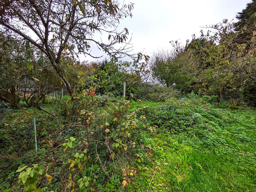 Terrain à LA BOUSSAC