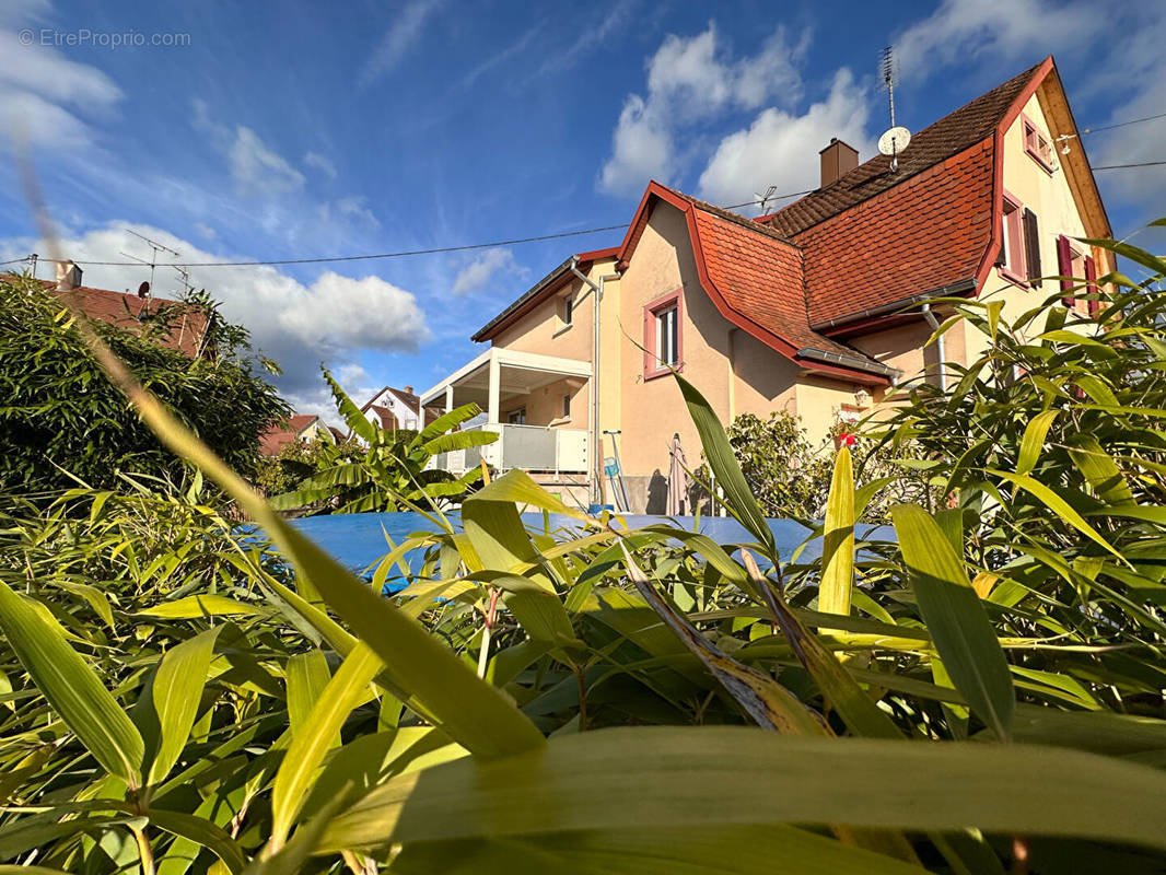 Maison à BOLLWILLER