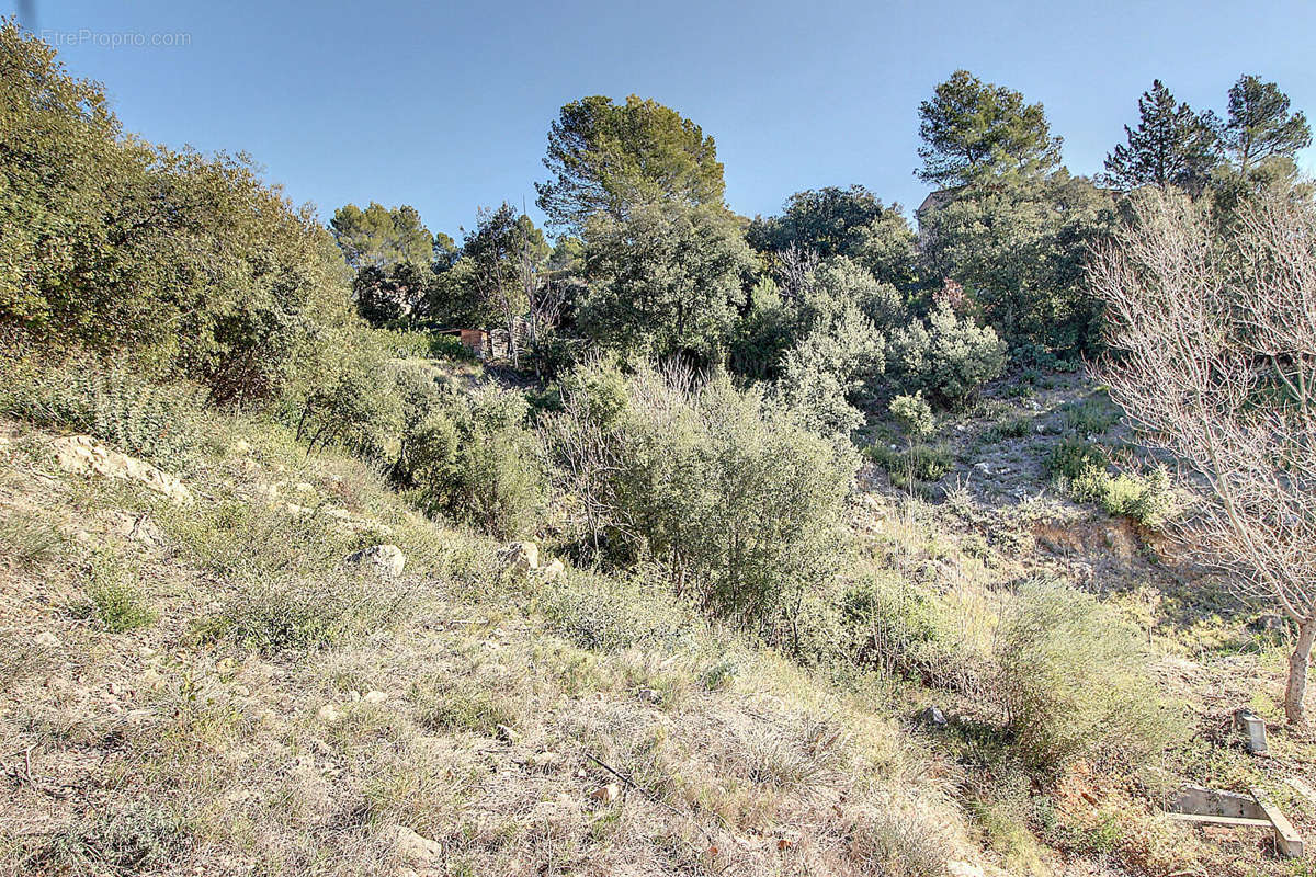 Terrain à TARADEAU