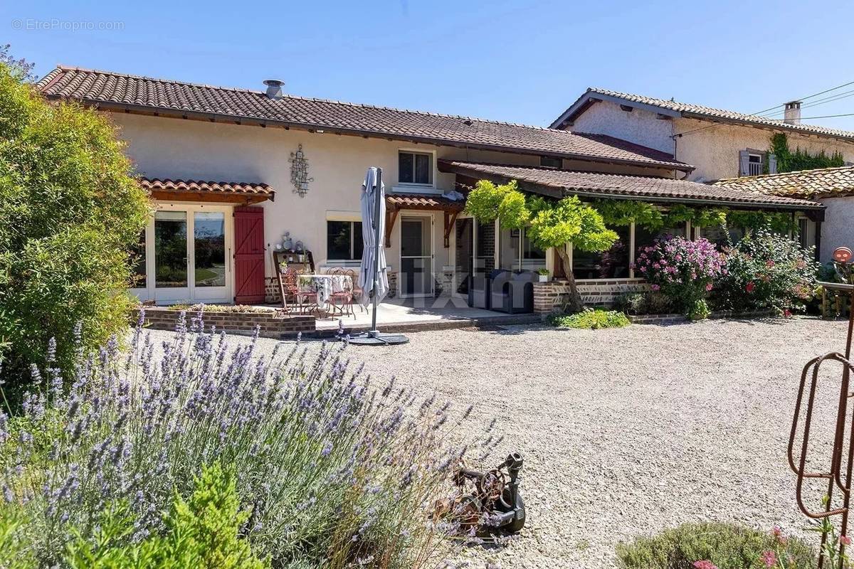 Maison à CHATILLON-SUR-CHALARONNE