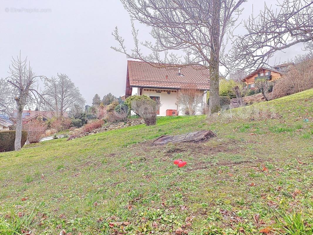 Maison_individuelle_Saint-Cergues_vue_magnifique_dégagée_lac_leman_montagnes_frontière_Suisse_Genève_CEVA_terrain - Maison à SAINT-CERGUES